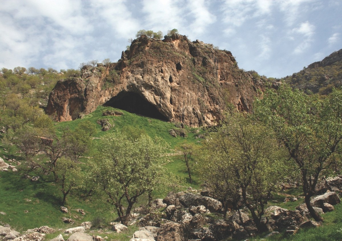 Ancient Hole in Neanderthal Shoulder Blade May Be The Oldest Spear Attack Ever Discovered