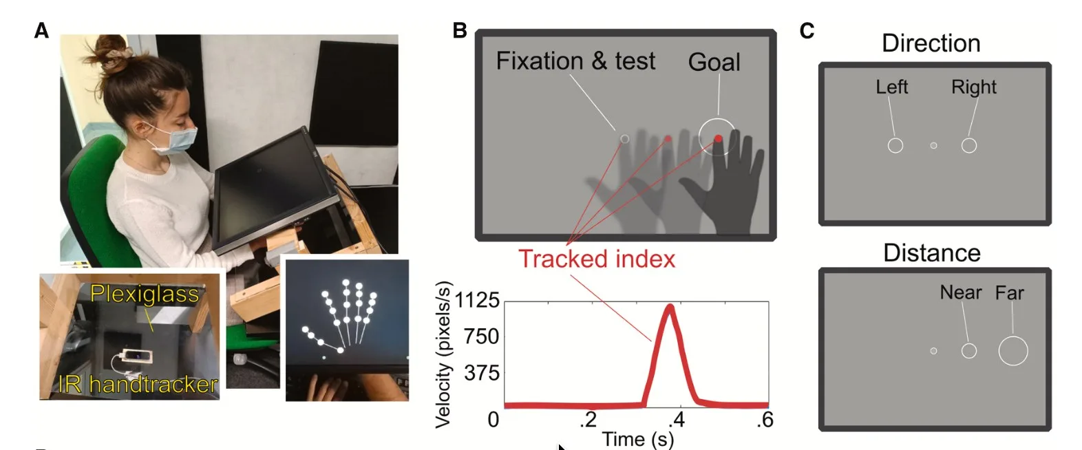 A participant seated at the experimental apparatus, alongside diagrams showing finger tracking and left–right or near–far targets.