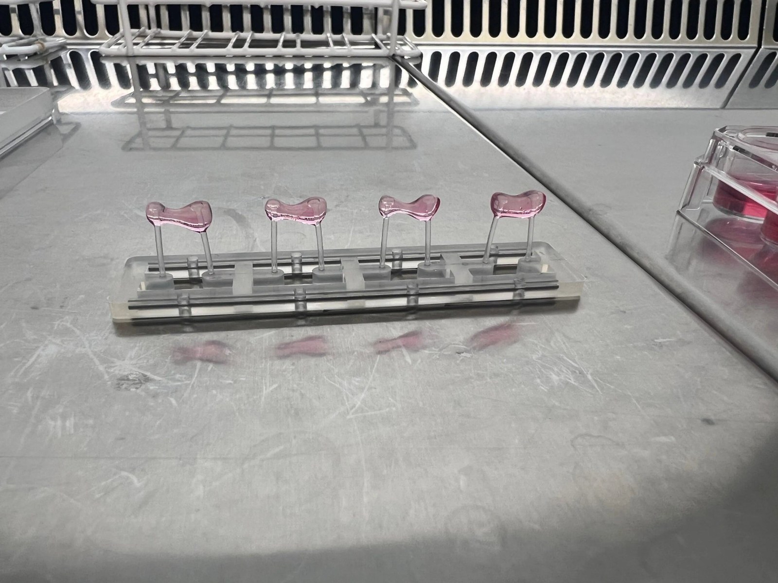 Pomegranate Compound Improves Heart Function Up to 80% in New Mouse Study