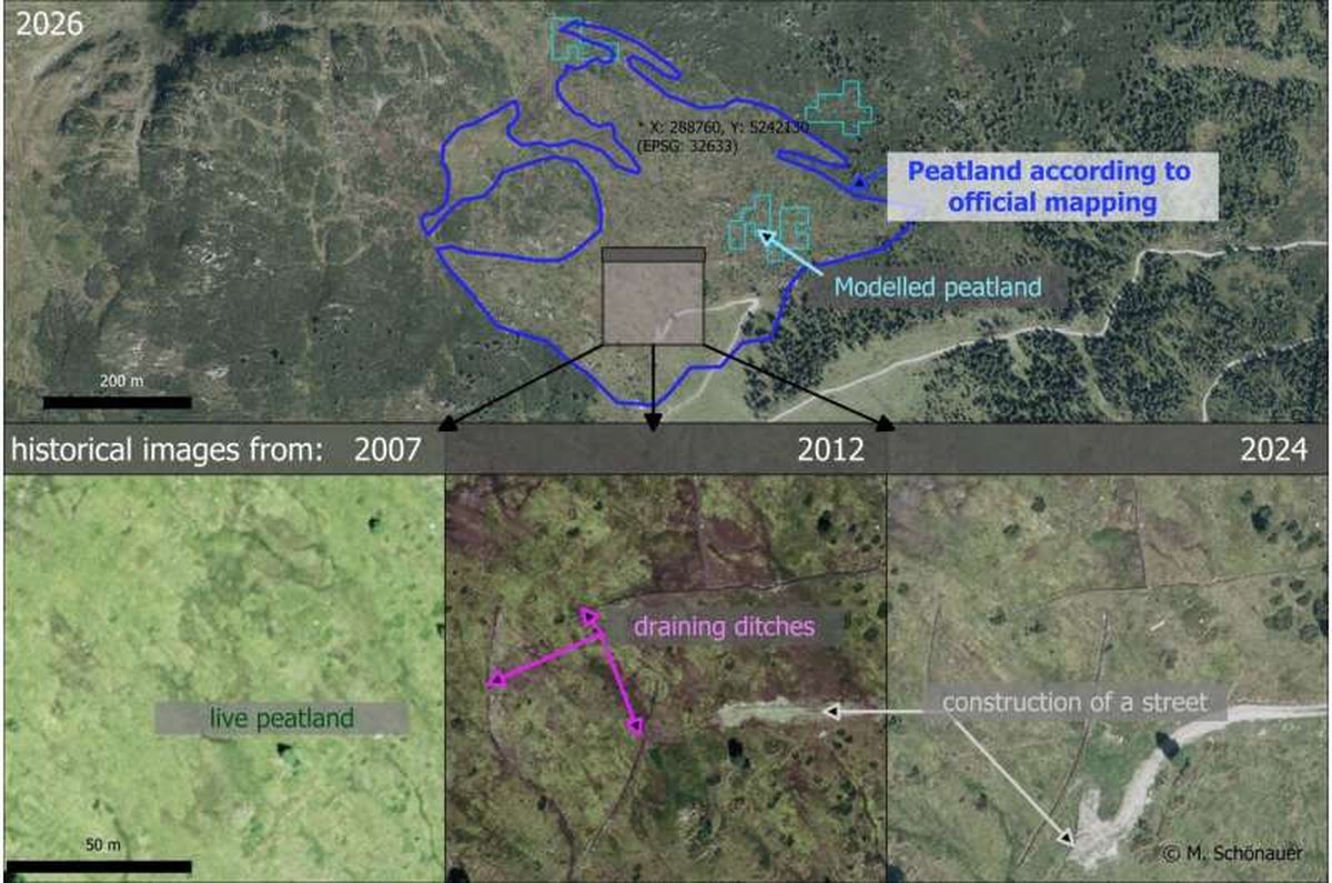 Alpine peatlands under pressure