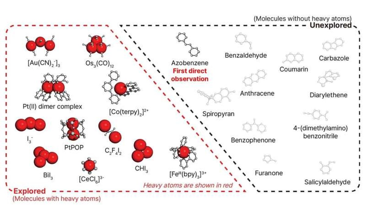 KAIST reveals how the light-responsive molecular switch azobenzene changes shape