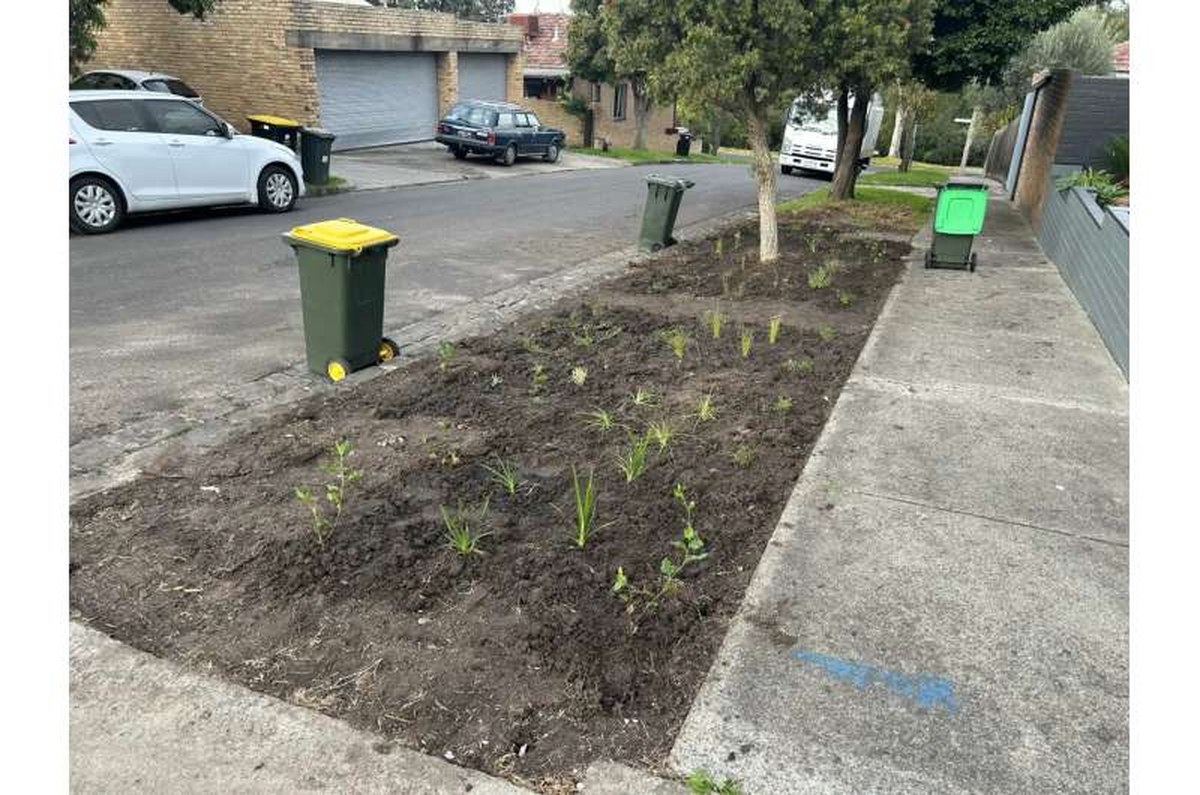 Get the prep done over the summer and you'll be planting in autumn. Credit: Philippa Bell Nature-strip gardens are a paradise for pollinators in your street