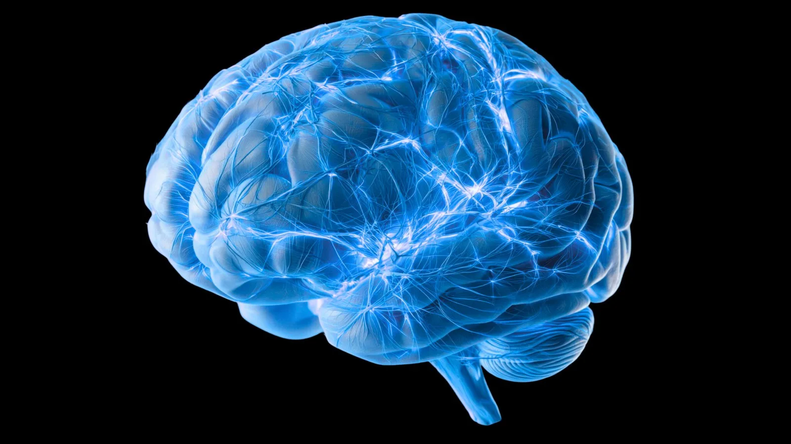 In 2026, We're Still Finding Out How The Brain Clears Its Waste. Scientists Just Found a Missing Piece.