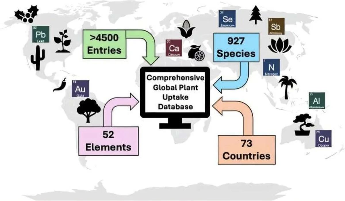 Visual abstract. Credit: ACS Environmental Au (2026). DOI: 10.1021/acsenvironau.6c00028 New global database provides a fuller picture of the elements that make up plant life