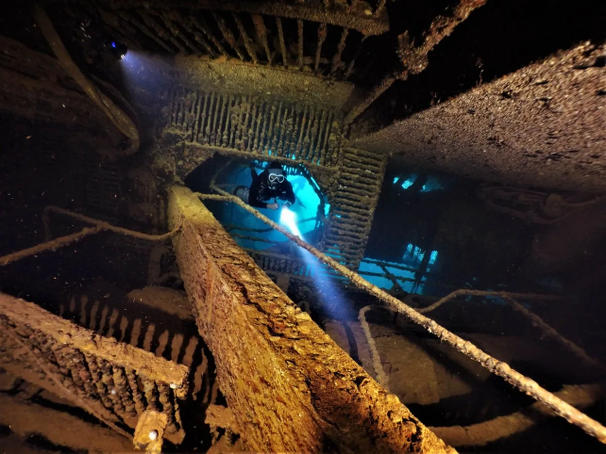 There's Something Strange Living in The Old Fuel Leaking From WWII Shipwrecks