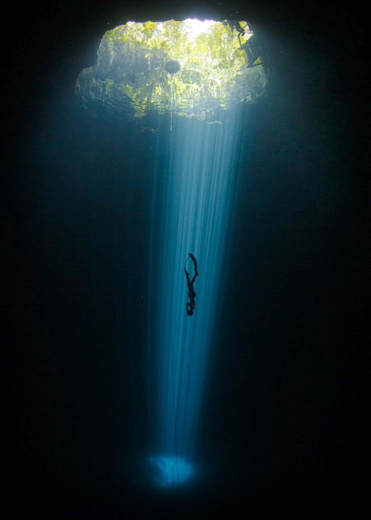 Freediving Seems to Reorganize The Human Brain on a Large Scale