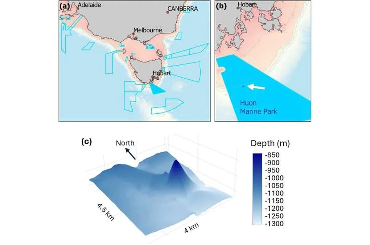 Scientists count more than 2 million eels on one underwater mountain