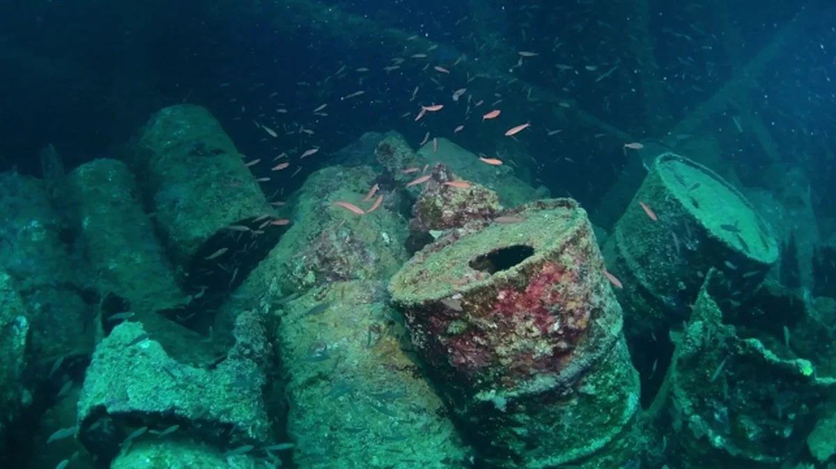 There's Something Strange Living in The Old Fuel Leaking From WWII Shipwrecks