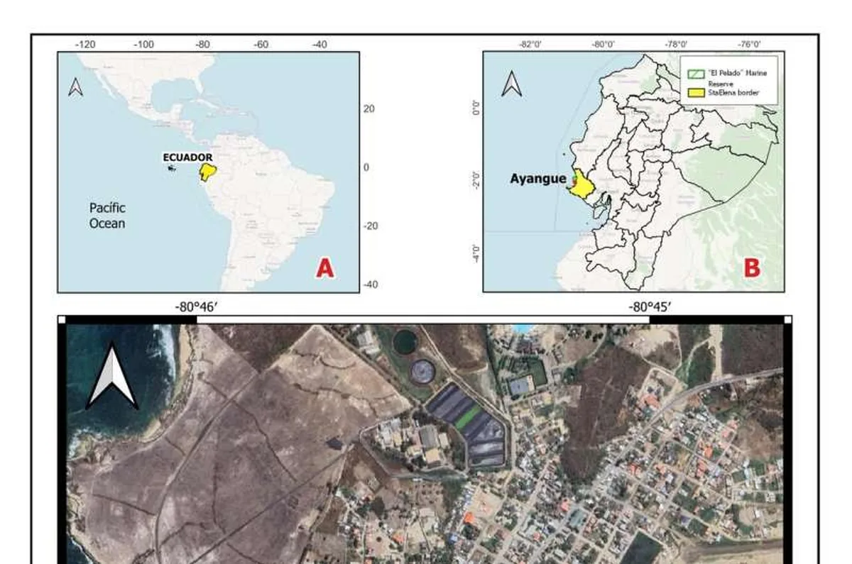 Coastal transformation starting in childhood: A critical analysis of community empowerment and the management of micro-pollutants in ayangue