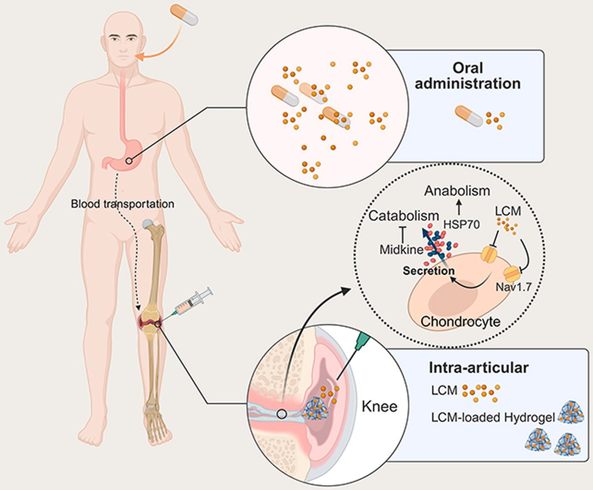 Lacosamide drug graphic
