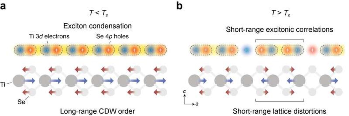 Excitonic correlations across the phase transition in 1T-TiSe2. a,b, Schematic illustrations of excitonic correlations (top) and atomic displacements (bottom) below (a) and above (b) the transition temperature. Below the transition, excitonic condensation accompanies long-range charge-density-wave order. Above the transition, long-range order disappears, while short-range excitonic correlations and lattice distortions persist. Credit: Nat. Phys. (2026). DOI: 10.1038/s41567-026-03423-z. Ultrafast core-level spectroscopy reveals the elusive precursors of exciton condensation in quantum materials