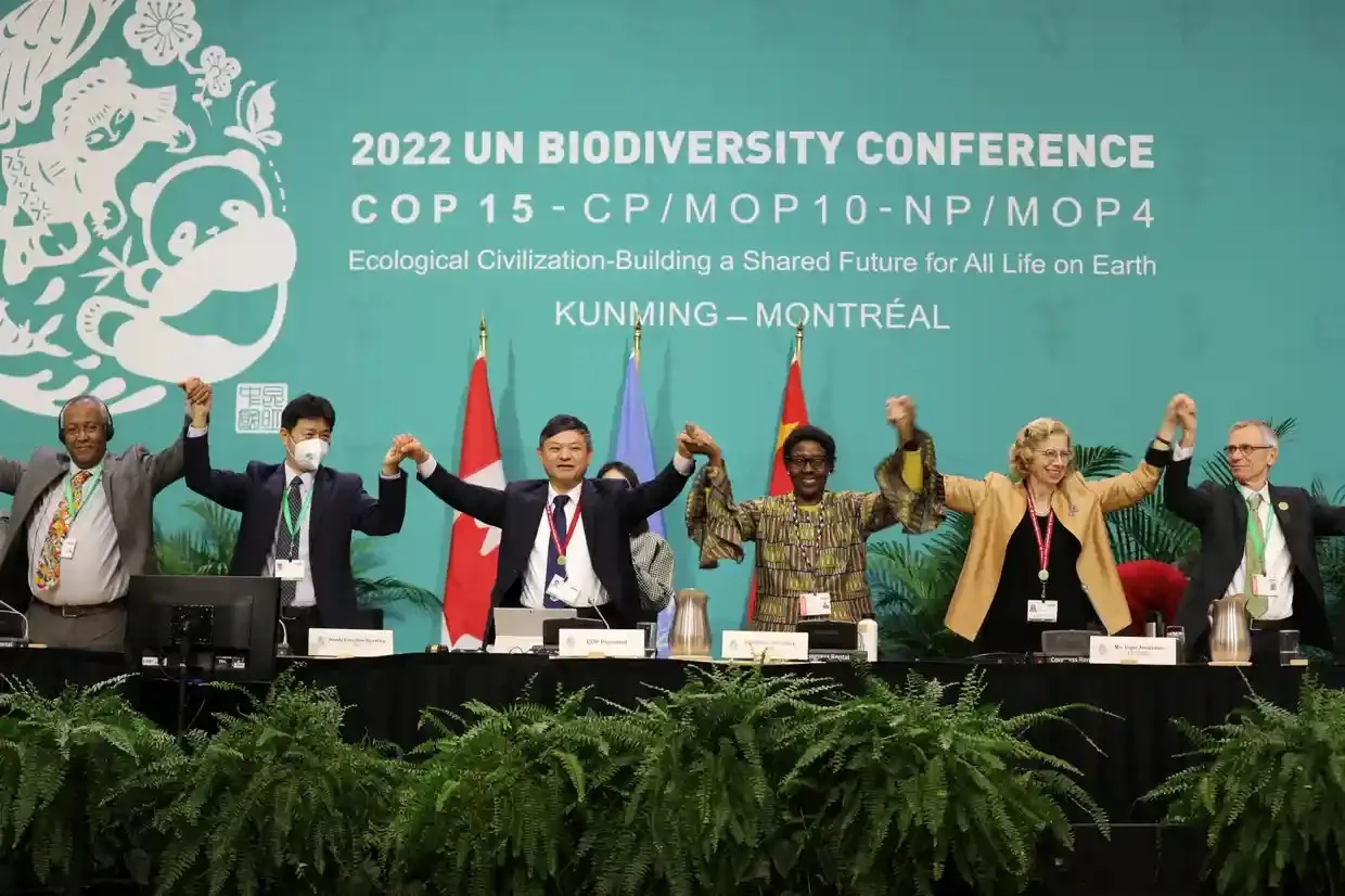 The top table of the Cop15 summit hold hands and raise them to celebrate the passing of the deal on 19 December
