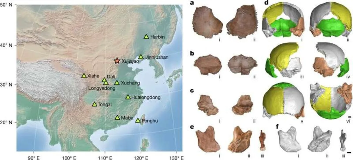 Scientists put a face to the ancient Denisovans