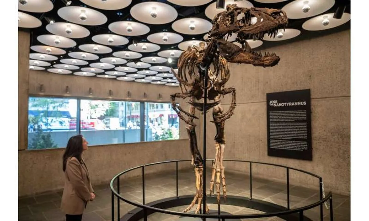 Mini T-Rex Auction