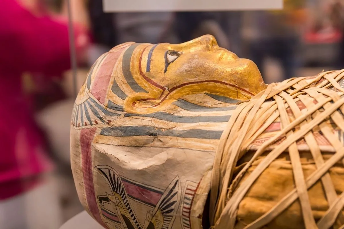 Medieval Mummy Powder Used in Historical Medicine Reveals Unexpected Anti-Influenza Effect