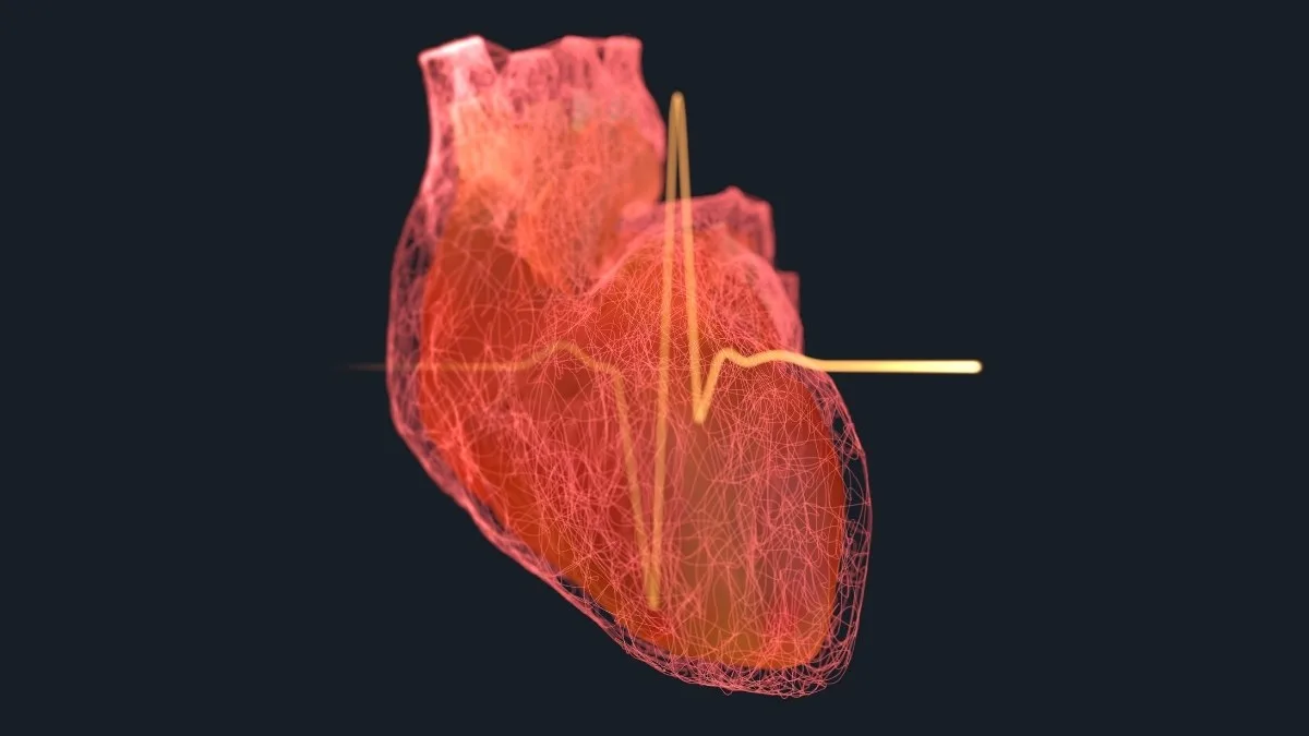 Illustration of a heart