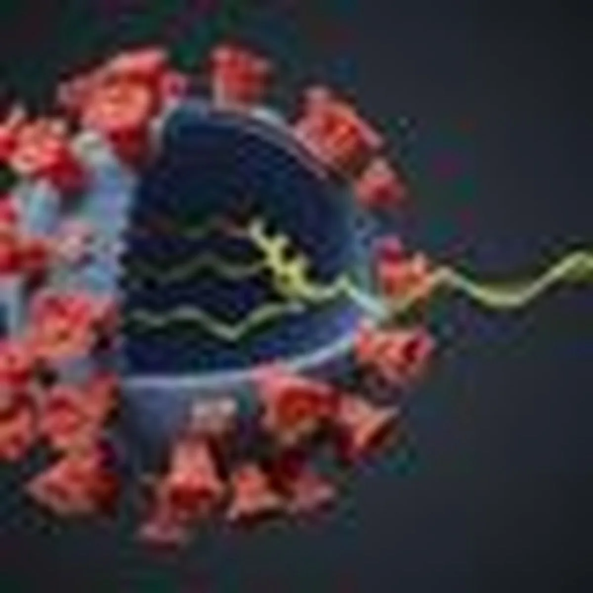 Gene Terapisi Hepatit B Virüsünün DNA'sını Sessize Alarak Onu Yenmeyi Sunuyor