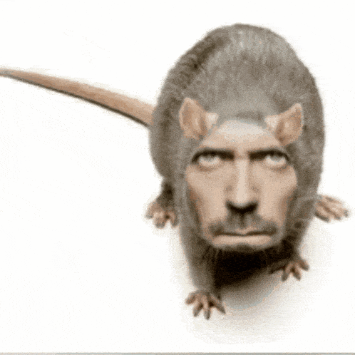 dr-house-ratte-dr-house — 2026 Dönemi Bilim Tarihi Belgesi