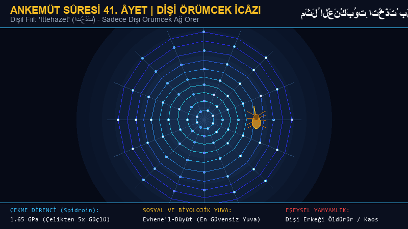 Ankebût Sûresi Dişi Örümcek Ağı ve Biyomekanik İcâz