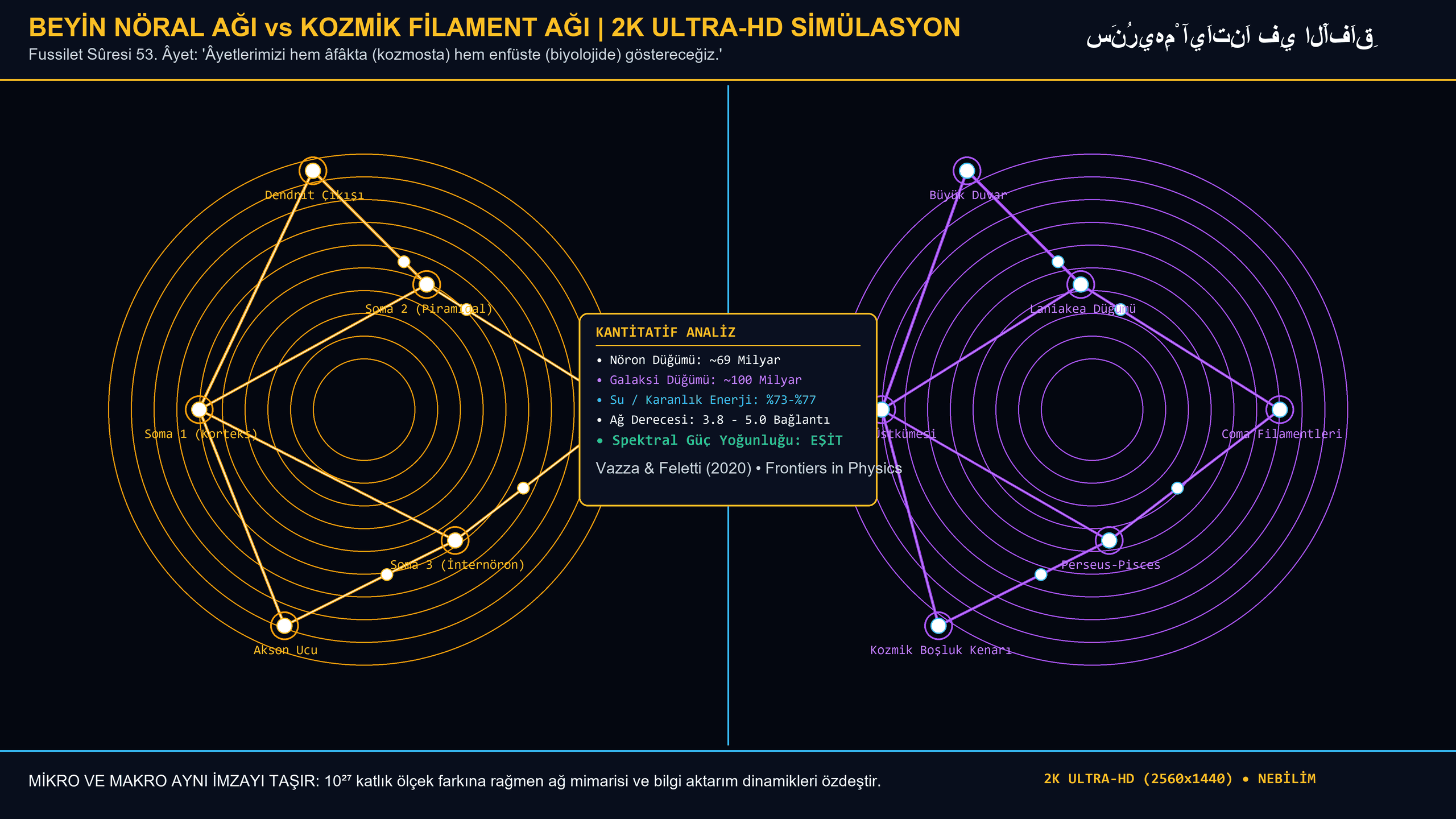 İnsan Beyin Nöral Ağı vs Evrenin Kozmik Ağı 2K Ultra-HD Simülasyon